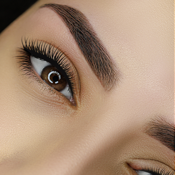 Airbrush Brows with Henna Certification in Reno, Nevada Stonhart - Main Image