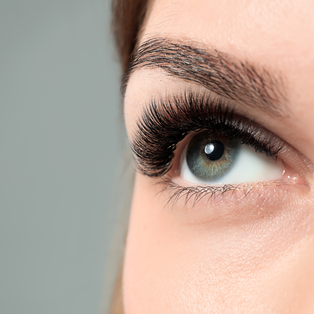 Perfecting Lash Fans Certification