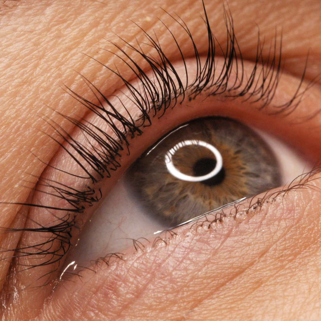 Lash Lifting (Lamination) & Tinting Certification