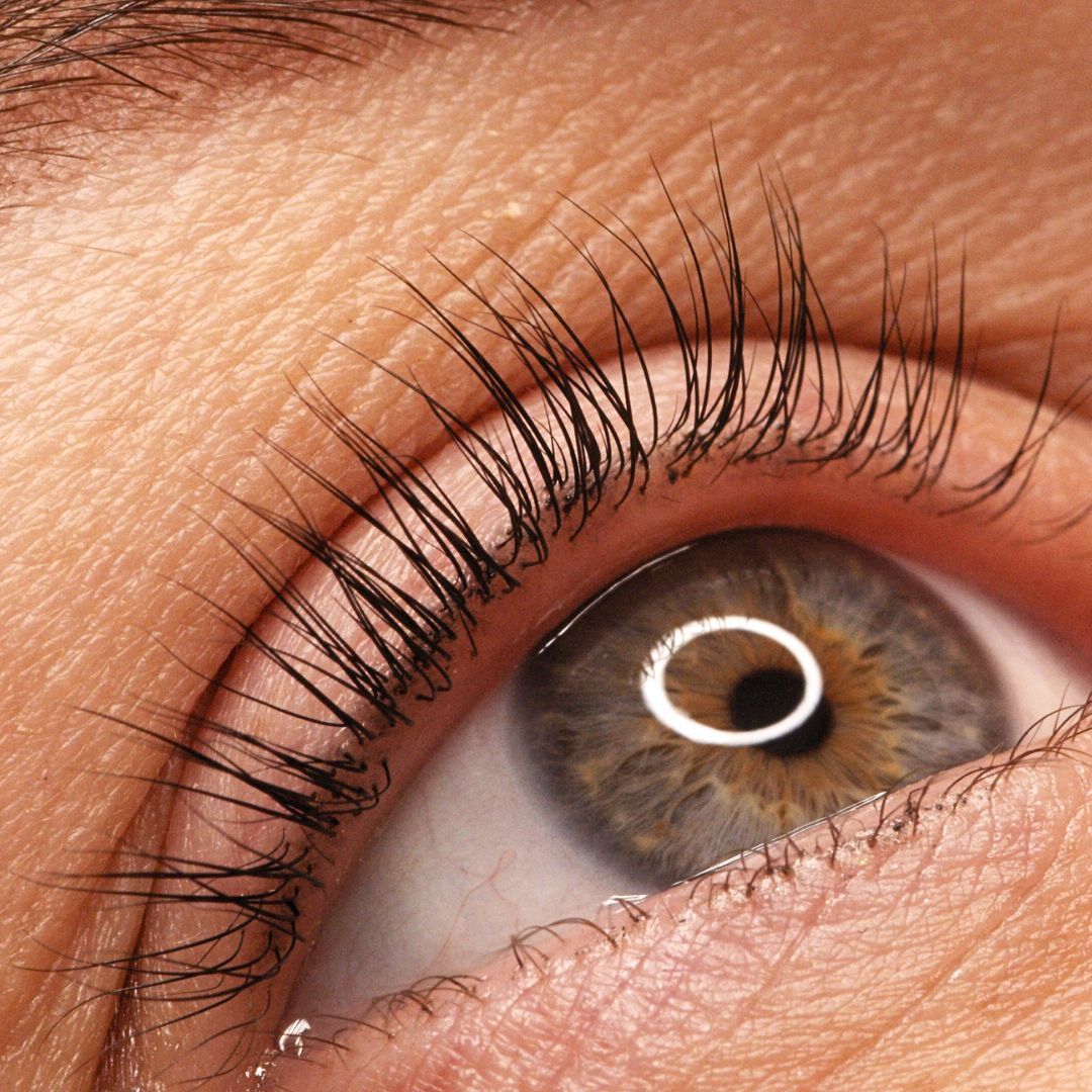 Lash Lift and Tint Service in Student Clinic