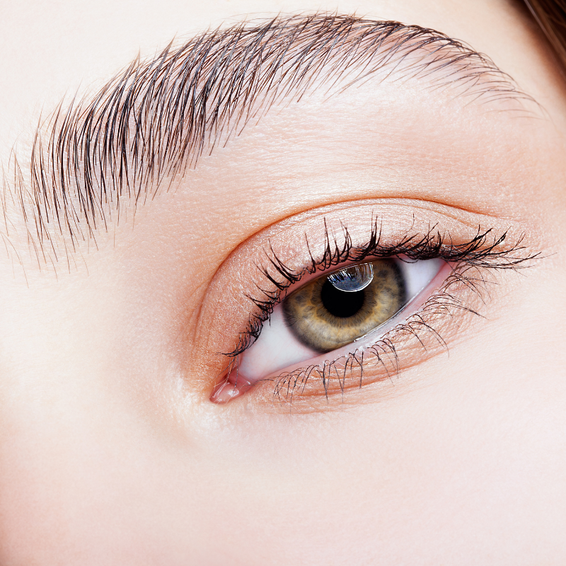 Brow Lift and Tint Online Certification