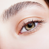 Brow Lift and Tint Online Certification